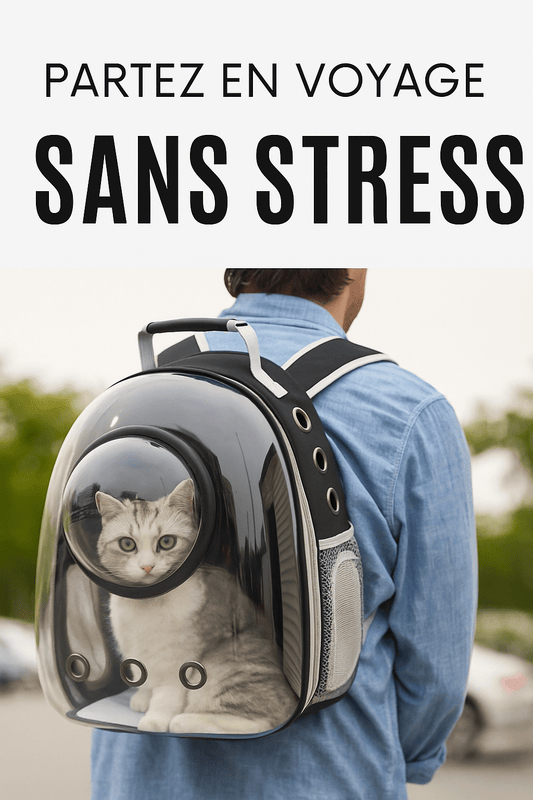 Sac de Transport Pliable pour Chat – Design Aéré & Confort Nomade - Cyna shop