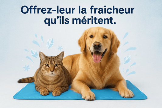 Tapis Rafraîchissant pour Animaux – Fraîcheur et Confort au Quotidien - Cyna shop